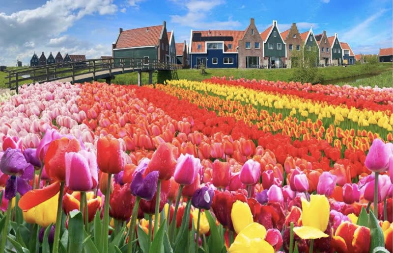 Encantos de Europa: Amsterdam · Bruselas · París